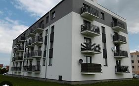 Kruszwica Wspólna 3